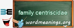 WordMeaning blackboard for family centriscidae
